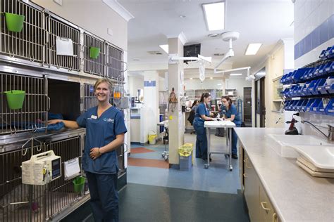 emergency vet|24.